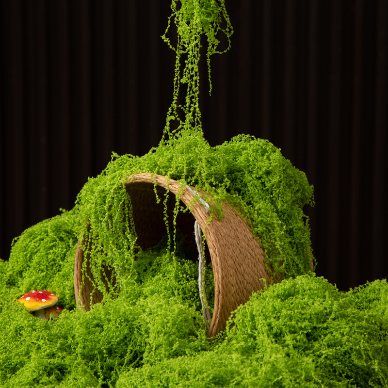 Preserved Moss Sheet - Musgo Eterno de 200g para Manualidades,