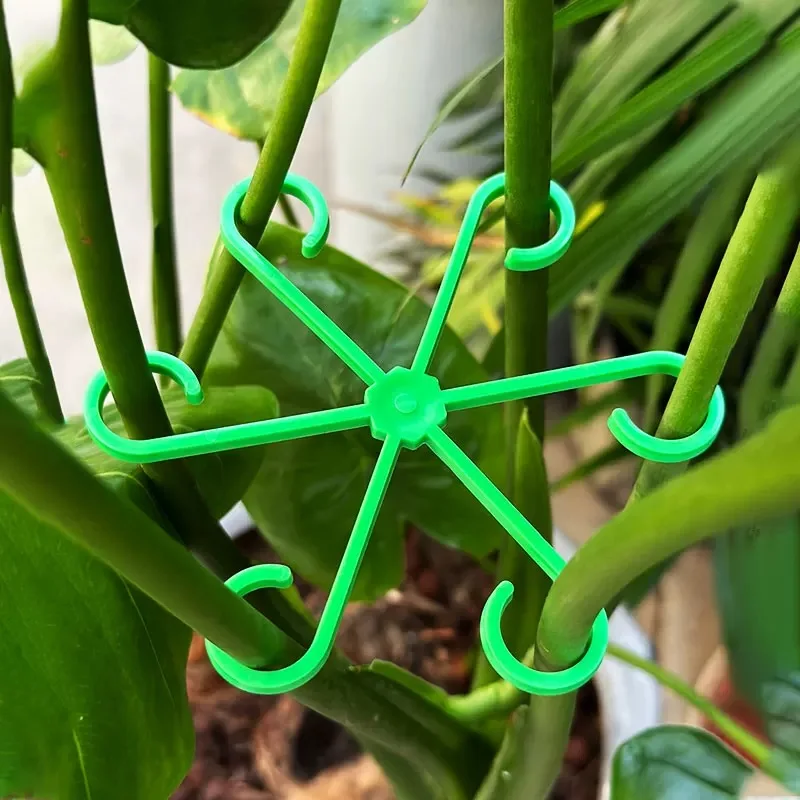 Estacas de soporte para tallo  - Florist Supply Bulk reseña y precio