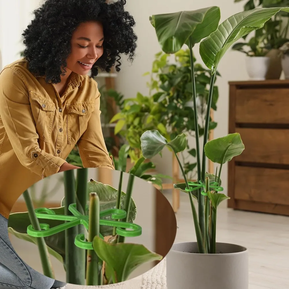 Estacas de soporte para tallo  - Florist Supply Bulk reseña y precio