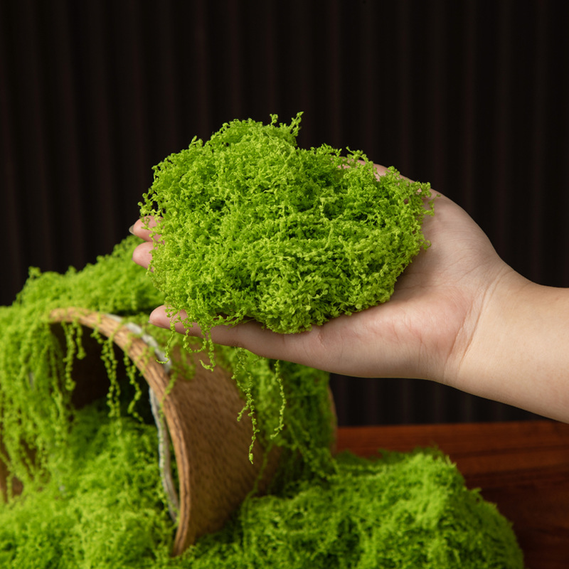 Musgo Eterno de 200g para Manu - Preserved Moss Sheet reseña y precio