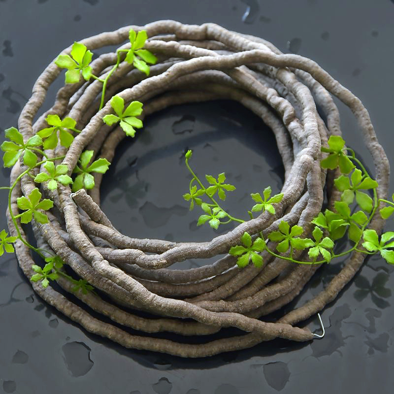 Plantas Artificiales de Hiedra - Preserved Moss Sheet reseña y precio