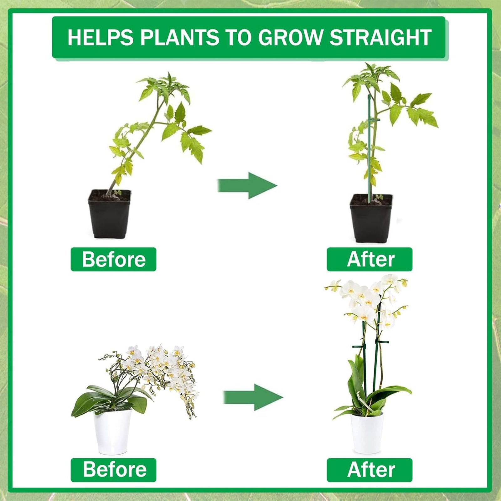 Soportes para Plantas, Varilla - Florist Supply Bulk reseña y precio