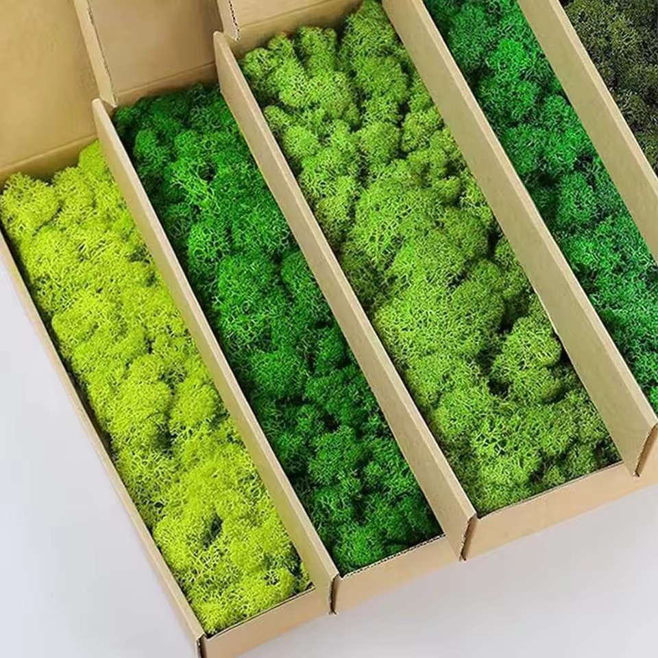 Plantas verdes artificiales de - Preserved Moss Sheet reseña y precio