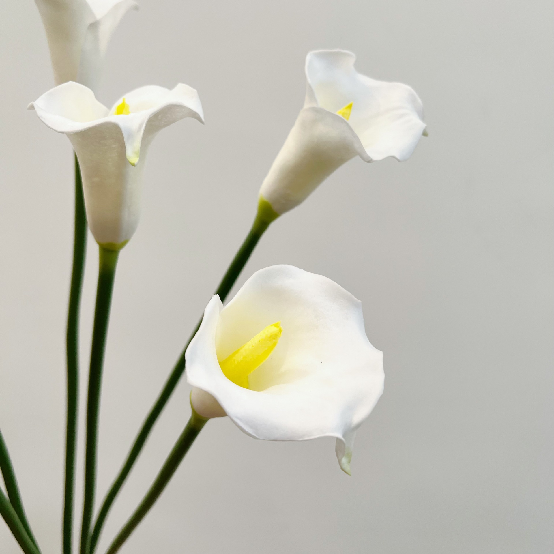 Flor Artificial de Lirio de Ca - Supply For Florist reseña y precio