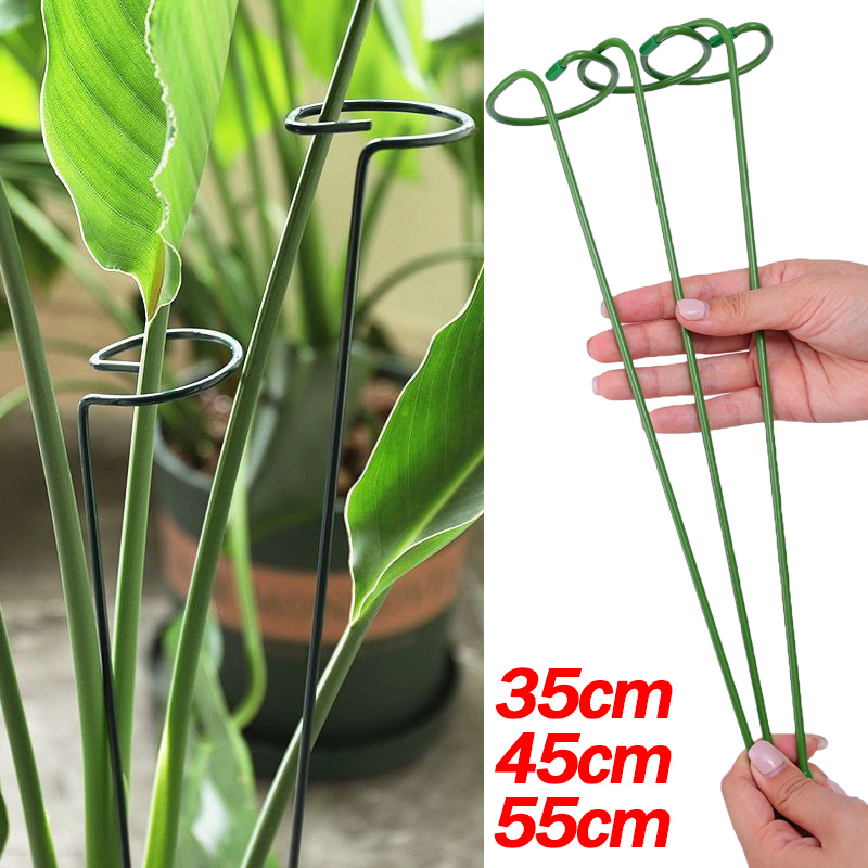 Soporte de arbustos para plant - Florist Supply Bulk reseña y precio