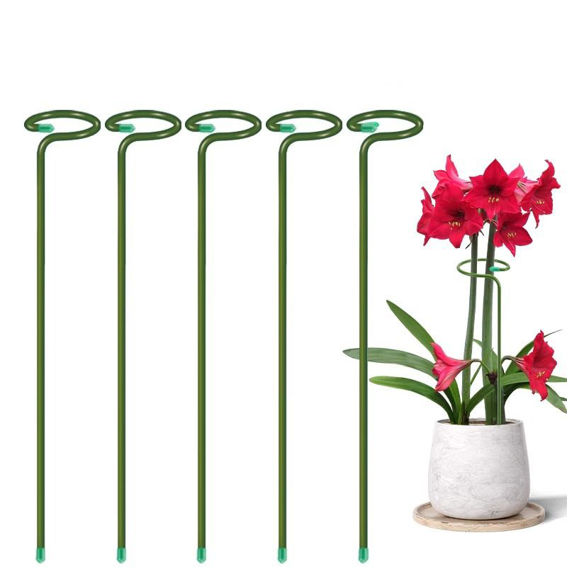 Soporte de arbustos para plant - Florist Supply Bulk reseña y precio
