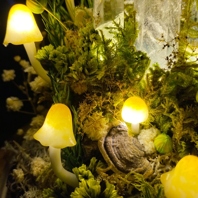 Lámpara de Noche con Forma de  - Preserved Moss Sheet reseña y precio